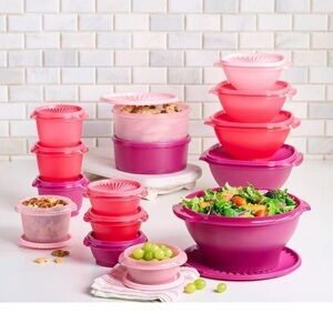 NIB Tupperware Pink and Purple Food Storage Container Set